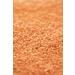 Buy Biojoy ORGANIC Red Lentils 1.5 kg - Dried Whole No Additives - Premium Quality for Healthy Cooking - Buy Online on GoSupps.com