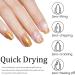 Glitter Nail Polish - Champagne Gold Nail Polish - Shimmer Sparkly Gold Glitter Nail Polish - High Glossy Quick Dry Nail Polish Starter Manicure Salon DIY at Home No Need Baking - Buy Online on GoSupps.com