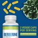 1000mg Herbal Supplement Capsules with Silymarin Antioxidant for Cardiovascular Health - 60 Vegan Capsules - Buy Online on GoSupps.com