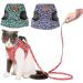 Etopars Cat Dishes & Leash Set - Adjustable Cat Vest & Jacket for Kittens - Ultra-Light Outbreak-Proof Cat Harness - XS Red for Pets & Puppies - Buy Online on GoSupps.com