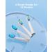 Buy 4 Replacement Heads for Bitvae Sonic Toothbrush Daily D2 Enhanced Oral Care International Shipping Available - Buy Online on GoSupps.com