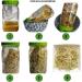 Koalakoi Organic Certified Alfalfa Seed (100g - 4.5kg) Easy to Sprout Super Nutritious Highly digestible Fibre Alfalfa | Premium Quality Non-GMO 100% Natural no Additives or Preservatives (100g) - Buy Online on GoSupps.com