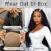 Shop 16 Inch Wear & Go Glueless HD Lace Human Hair Wig - Pre Plucked 180% Density Natural Black Straight Remy Hair - Buy Online on GoSupps.com