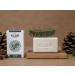 Clear soaps Klars Forest Soap 100 g - Buy Online on GoSupps.com