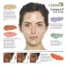 Mehron Makeup Celebr Pro-HD Correct-It Palette - Professional Concealer Palette - Buy Online on GoSupps.com