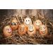 Wiggle Eyes Self-Adhesive Googly Eyes Set - 750pcs, 4mm-18mm - Buy Online on GoSupps.com