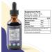 Active Adrenal + NoctuRest - Supports Adrenal Health + Sleep- Liquid Delivery for Better Absorption - Rhodiola Hops Holy Basil Melatonin Ashwagandha & More! - Buy Online on GoSupps.com
