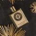 Schwarzlose Treffpunkt 8 UHR - Unisex EDP Spray Fragrance - Long Lasting and Captivating Perfume with Mango Ginger Sage and Vetiver - Body Spray with Royal and Incomparable Scent - 3.4 oz - Buy Online on GoSupps.com