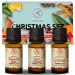 Essential Oil Set Christmas 1.0 Fl Oz - 3x10ml - 30ml - Winter Essential Oil Set - Cinnamon & Orange & Clove Bud Oil - Christmas Scent - Aromatherapy Oils for Diffusers & Aromalamps - Home Fragrance