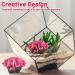 Artificial Coral Ornaments | LTHhermelk Pink Aquarium Decoration for Fish Pools & Landscapes - Buy Online on GoSupps.com