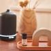 Juniper Ridge Christmas Fir Essential Oil - Evergreen Winter Scent for Diffusers & Aromatherapy - 5ml Pine & Fir Fragrance - Buy Online on GoSupps.com