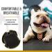 OneTigris Ranger Green X-Small Dog Pack Backpack for Camping, Hiking, and Walking with Litter Bag Exit - Buy Online on GoSupps.com