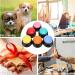 6 Pack Multicolored Language Recording Buttons - 30-Second Describable Pet Training & Creative Learning Gifts for Kids & Office Fun - Buy Online on GoSupps.com