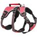 Heele dog crockery breakout buckle in the neck area reflective breast dishes with a robust handle panic crockery dog dog harness stable impression fits like a glove red l l red red