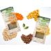 Simply Nature Yellow Lentil Lasagna Sheets Bundle Set - Vegan Organic Plant-Based Pasta, Non GMO Gluten Free, with Reusable Tote - Buy Online on GoSupps.com