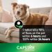 Capstar Oral Flea Treatment for Large Dogs Weighing 11 to 57 kg - 6 Pack - Buy Online on GoSupps.com