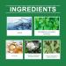 Mugwort Calming Face Cleanser Mugwort Face Wash Women & Men Calming Facial Cleanser Hydrating Cleanser Mugwort Cleanser for Sensitive Skin Gentle Cleanser Daily Soothing Moisturizing - Buy Online on GoSupps.com