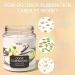 TRINIDa Vanilla Bean Odor Eliminating Candles | Eliminate 99% of Pet Smoke & Food Smells | Premium Scented Soy Candle Set for Home - Buy Online on GoSupps.com