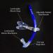 Kraken Aquatics Swim Snorkel - Adult Center Mount for Lap Swimming | Comfortable Silicone Mouthpiece | One-Way Purge Valve | Blue - Buy Online on GoSupps.com