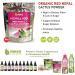 Maxx Herb Organic Red Nopal Cactus Powder - Digestion & Immune Support - 10 Oz Bag (28 Servings) | Vegan, Non-GMO, Gluten-Free - Buy Online on GoSupps.com