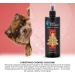 GROOM PROFESSIONAL Christmas Cookies Dog Cologne Spray - Dog Perfume Spray - Dog Spray for Smelly Dogs - Irresistible Scent of Cookies Vanilla & Rich Cream - Long-Lasting Scent 500ml 500 ml (Pack of 1) - Buy Online on GoSupps.com