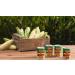 Del Monte Vegetable & Bean Blends Classic Style 14.5oz Can - Pack of 12 - Buy Online on GoSupps.com
