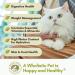 Wholistic Pet Organics Feline Complete - Organic Cat Multivitamins Powder for Immune Support & Antioxidants | Pumpkin Flavor - 4 oz - Buy Online on GoSupps.com