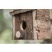 Garden Mile 2x Natural Wooden Bird Houses - Traditional Hanging Wild Bird Nesting Boxes for Outdoor Garden Decor - Buy Online on GoSupps.com