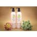 Essence of Argan Renewing Hair Care Set - 100% Pure Moroccan Organic Argan Oil Shampoo & Conditioner for Volumizing & Nourishing All Hair Types - Buy Online on GoSupps.com