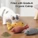 3PC Catnip Fish Toys - 21cm Interactive Cat Toys for Play | Simulation Fish for Cats - Buy Online on GoSupps.com