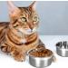 2 Pack Kennel Water Bowl for Cats & Small Dogs - No Spill Hanging Crate Bowl - 2 Cups (16oz) Feeder - Buy Online on GoSupps.com
