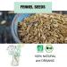 ORIGEENS ORGANIC FENNEL TEA 200g | Herbal tea with fennel seeds as a breastfeeding tea lactation tea and digestive tea | Loose Organic Fennel seeds for herbal teas - Buy Online on GoSupps.com