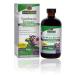 Nature's Answer Sambucus Immune Infused with Echinacea & Astragalus 12000 mg 8 fl oz (240 ml)