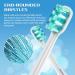 WAYYS Philips Sonicare Replacement Heads - 8 Pack Electric Toothbrush Heads for Optimal Care | International Shipping Available - Buy Online on GoSupps.com