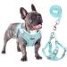 Rennaio dog harness No Pull adjustable puppy dishes with 2 linen clips ultra breathable padded chest harness and leash set for small and medium-sized dogs (cyan XL) Cyan XL