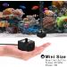 PULACO 50GPH Mini Submersible Water Pump - Ideal for Aquariums, Fish Tanks, Ponds, Fountains, and Hydroponics - Buy Online on GoSupps.com