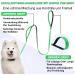 Demigreat 1.5m / 3m / 5m Dog Training Leash - Padded Handle Robust Long Line for Small to Large Dogs 10ft Green - International Shipping Available - Buy Online on GoSupps.com