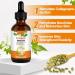 Pumpkin Seeds Oil Pumpkin Seed Oil For Hair Pumpkin Seed Oil Cold Pressed Skin Care Suitable For Men Women Pumpkin Seed Oil For Hair Face Nails Body Skin Pumpkin Seed Oil Pumpkin Oil - Buy Online on GoSupps.com