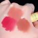 3Pcs Matte Lip Gloss Set - Waterproof Long Lasting Velvet Lipstick in Cute Cat Package | High Pigmented Non-Stick Lip Stain Makeup - Buy Online on GoSupps.com