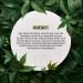 New Paradise Glycolic Acid Toner - 5% AHA + BHA for Pore Refinement & Radiant Skin | International Shipping Available - Buy Online on GoSupps.com