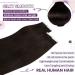 LAAVOO Brown Real Hair Tape Extensions 50cm - 20pcs #2 Dark Brown Invisible Adhesive Extensions | 50g Real Hair Quality - Buy Online on GoSupps.com