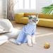 Buy Lollanda Katzenbody - Recovery Suit for Cats After Surgery | Surgical Suit for Abdominal Wounds | Comfortable Relaxation Suit (Blue M) - International Shipping Available - Buy Online on GoSupps.com