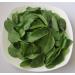 Portal Cool 2G Approx 150 Matador Spinach Seeds Rich in Vitamins Excellent Taste - Buy Online on GoSupps.com
