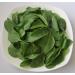 Portal Cool 2G Approx 150 Matador Spinach Seeds Rich in Vitamins Excellent Taste