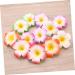 LALAFINA 36 Pieces Hair Barrettes for Women Hawaiian Flower Clips Hawaiian Flower Barrettes Plumeria Hair Clip Foam Hair Clip for Women Hawaiian Decorations Issue Card Travel Flowers - Buy Online on GoSupps.com