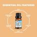 Aerosoul Aroma Diffuser for Essential Oils - 500ml Humidifier 10ml 100% Essential Oils Aromatherapy with Remote Control Wood Look Design for Stress Relief and Deep Meditation - Buy Online on GoSupps.com