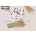 Buy 600 Cotton Swabs with Cotton Tips & Wooden Handles - Eco-Friendly Soft & Durable - Perfect for Personal Care & Crafting - Buy Online on GoSupps.com