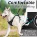 Eagloo Dog Harness for Large Dogs - Adjustable Anti-Train Chest Harness with Reflex Strips - XL Black for Labrador & More - Buy Online on GoSupps.com