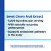 Nature's Way Cherry Fruit Extract 1000mg Potency - 180 Count (Pack of 1) - Buy Online on GoSupps.com
