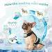 Cooling Vest for Dogs - Breathable Reflective Summer Jacket for Small Medium & Large Dogs - Perfect for Outdoor Activities & Training - Buy Online on GoSupps.com